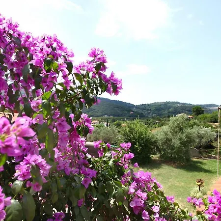 Appartement Bozena Kneb *