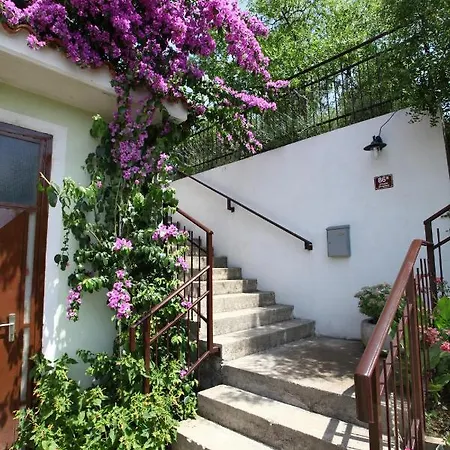 Bozena Kneb Daire Portorož