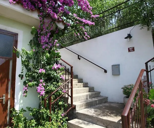 Bozena Kneb Appartement Portorož